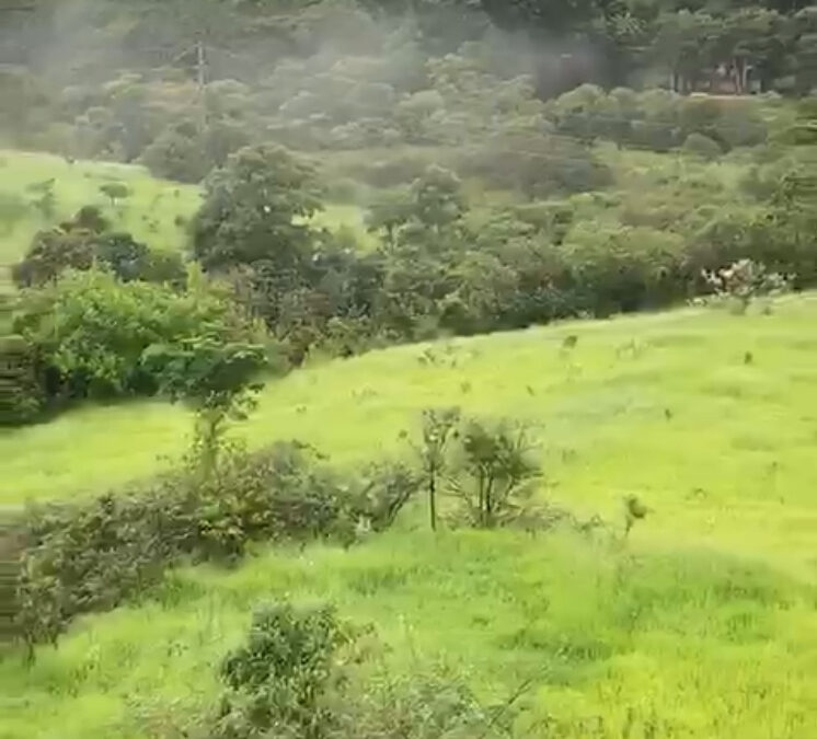 Prefeitura de Campinas aprova loteamento na Zona de Proteção de Manancial da APA