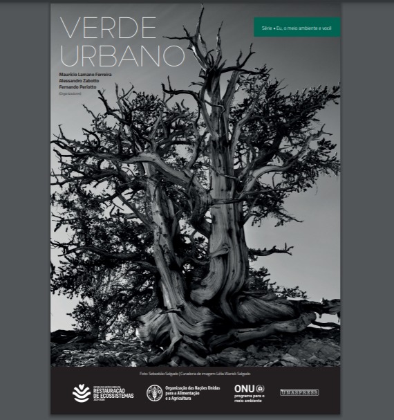 VERDE URBANO