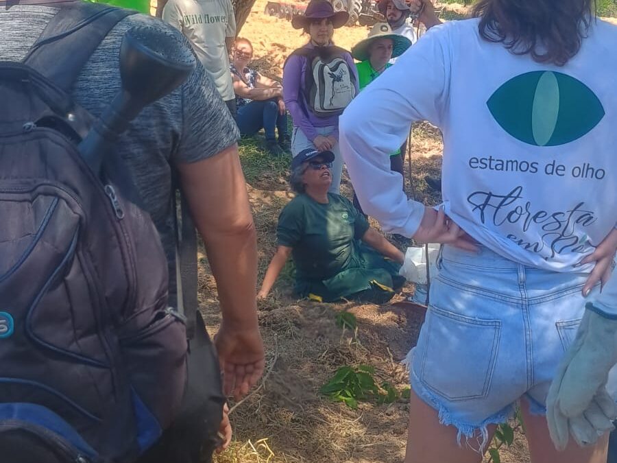 Reflorestadores Voluntários – uma jornada coletiva