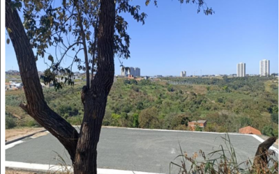 Parque Natural do Campo Grande: como explicar a impermeabilização do solo dentro de uma Unidade de Conservação?